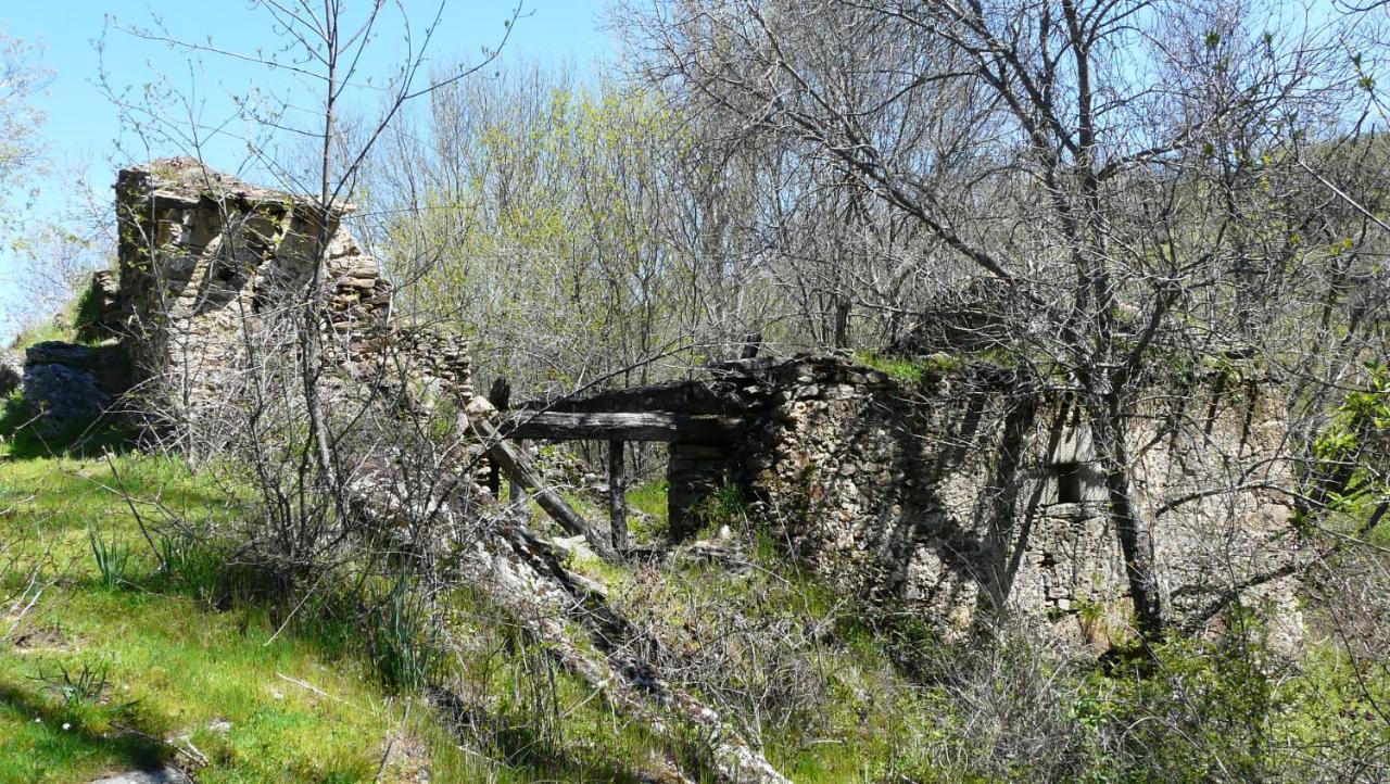 הוילה Pradena del Rincon El Huerto De Leon מראה חיצוני תמונה