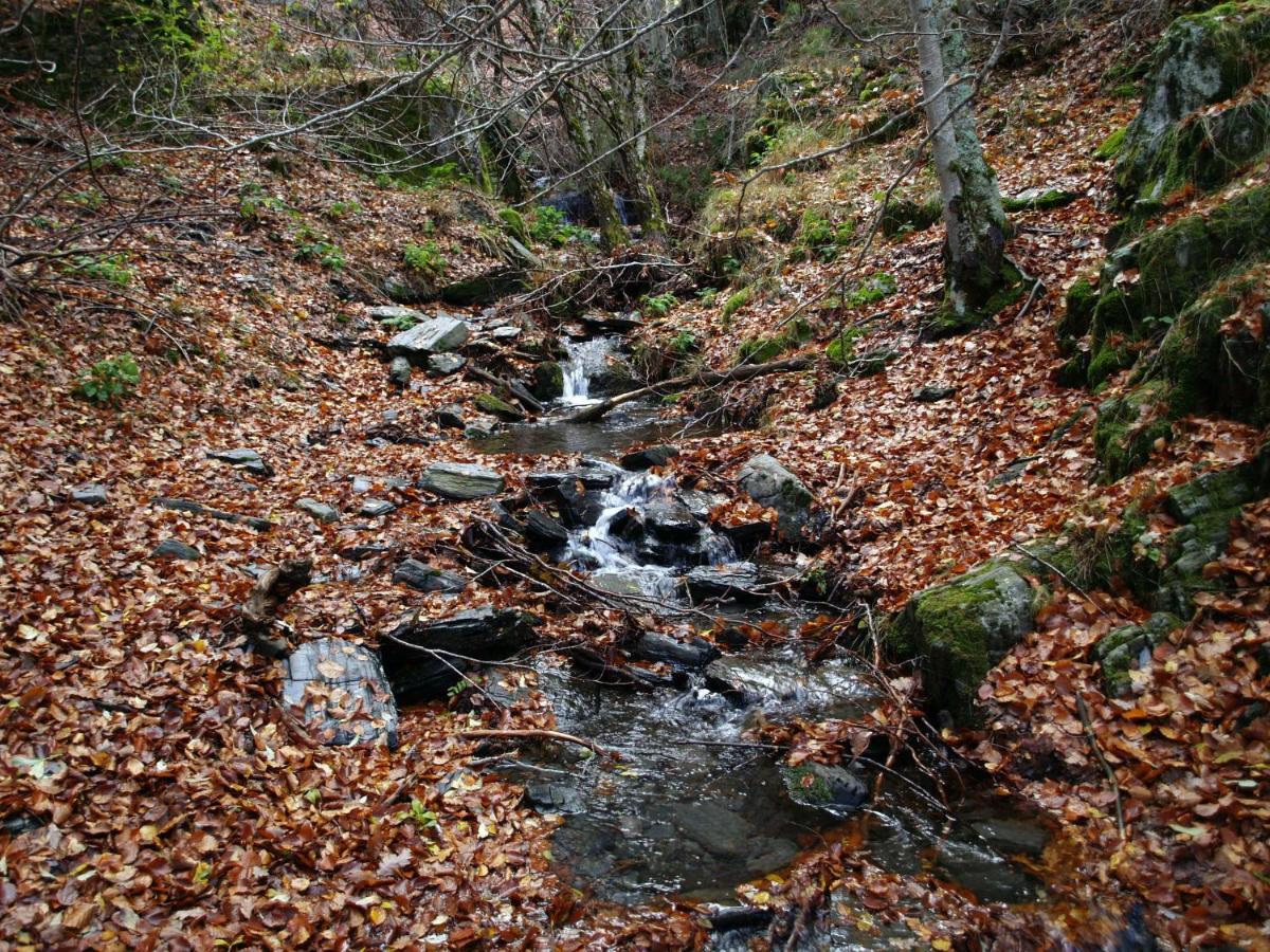 הוילה Pradena del Rincon El Huerto De Leon מראה חיצוני תמונה