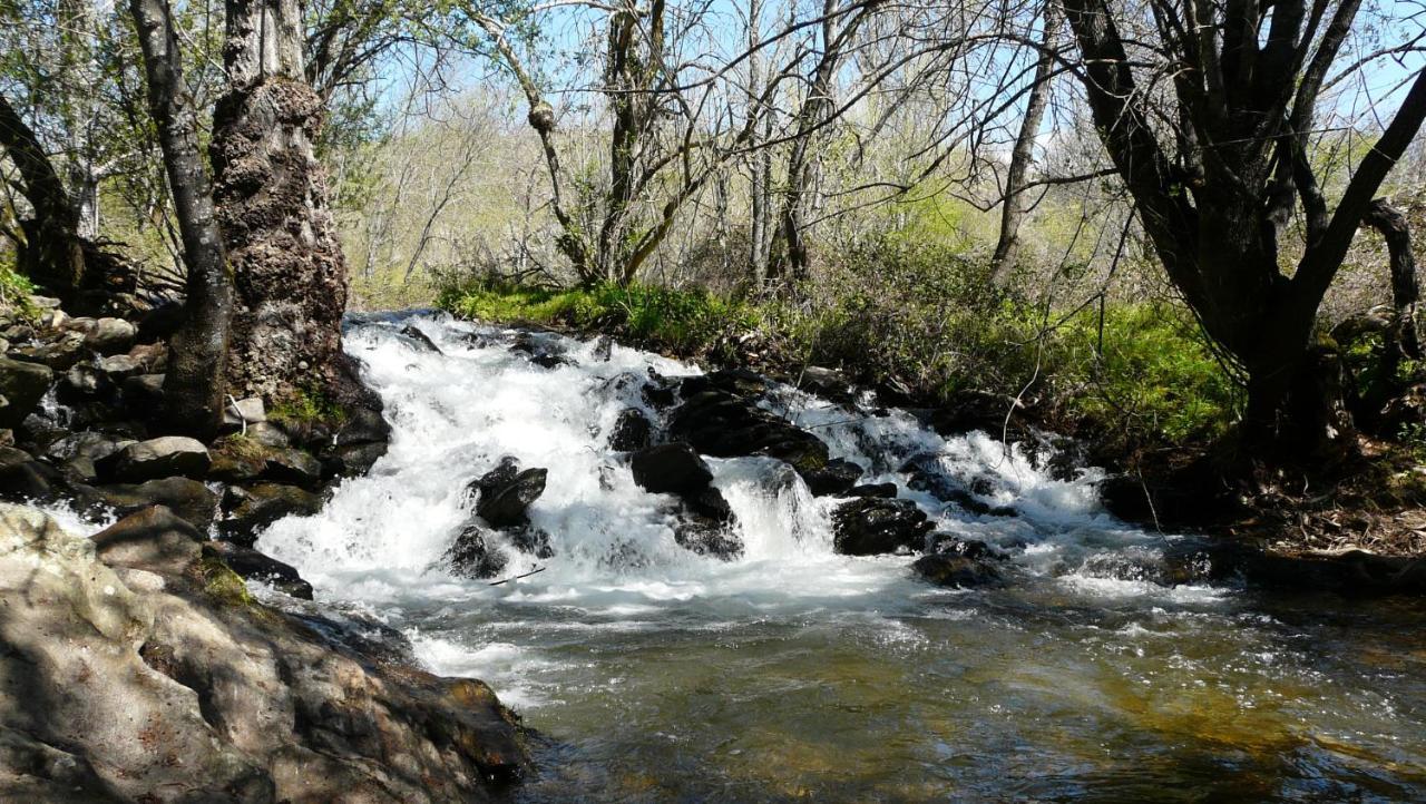 הוילה Pradena del Rincon El Huerto De Leon מראה חיצוני תמונה