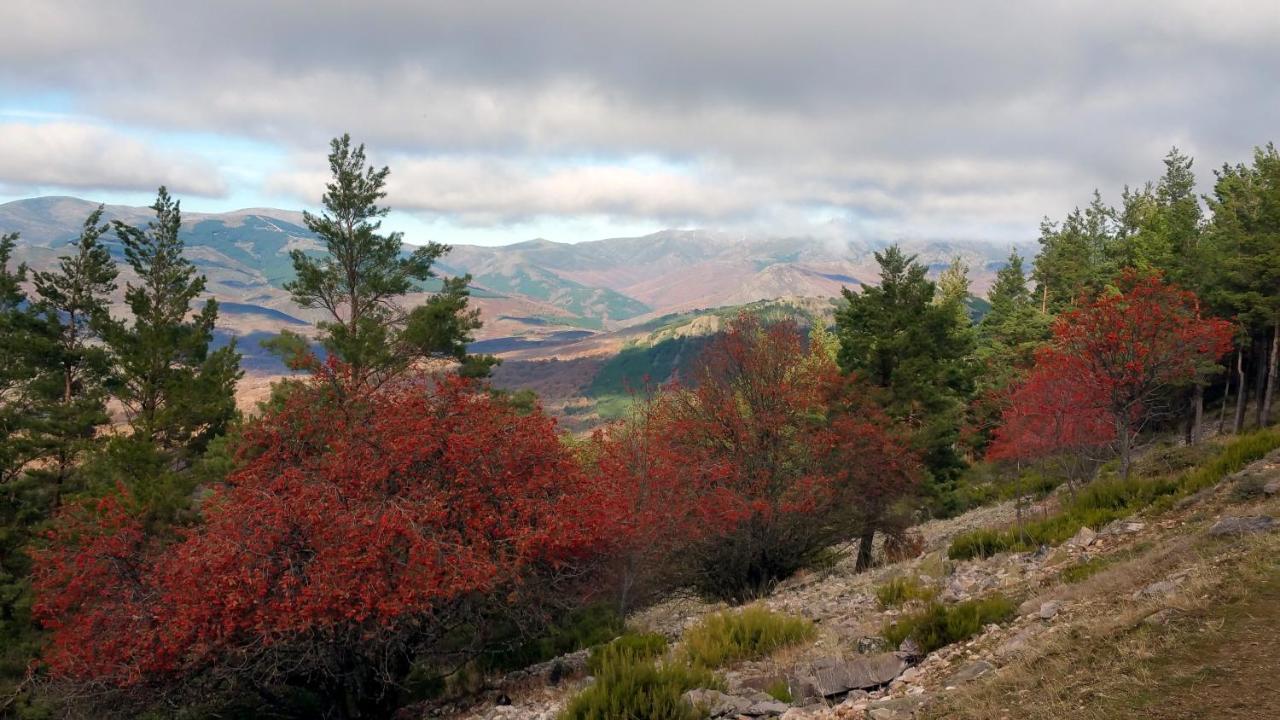 הוילה Pradena del Rincon El Huerto De Leon מראה חיצוני תמונה