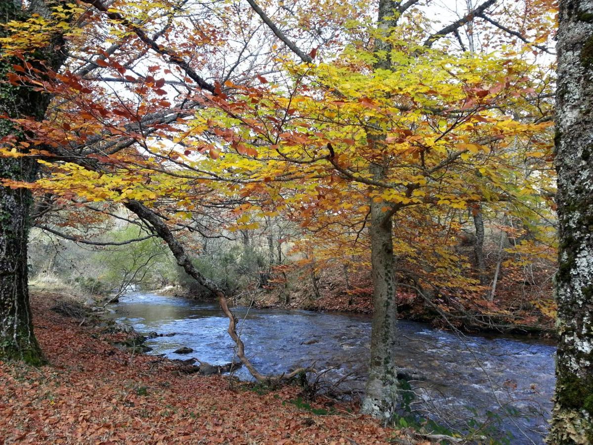 הוילה Pradena del Rincon El Huerto De Leon מראה חיצוני תמונה